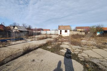 Spațiu industrial de inchiriat ONCEA - Bihor anunturi imobiliare Bihor