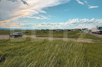 Teren de vanzare FALTICENI - Suceava anunturi imobiliare Suceava