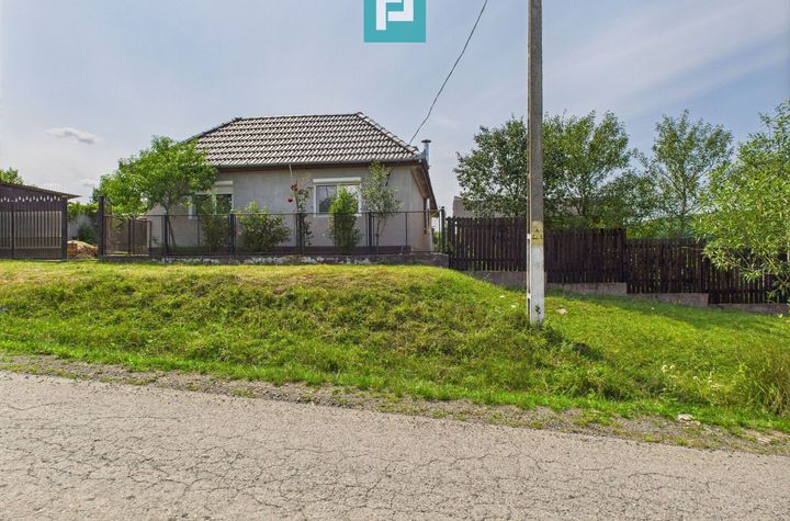 Casă renovată cu teren generos lângă Ususău anunturi imobiliare Arad