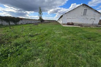 Teren+clădiri 60.000 mp.18 euro mp.deschidere la autostradă, anunturi imobiliare Mures