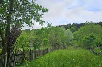 Teren de vanzare VALEA DOFTANEI - Prahova anunturi imobiliare Prahova