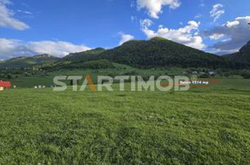 Teren intravilan Zarnesti anunturi imobiliare Brasov