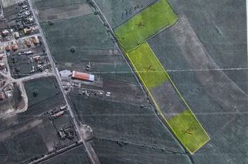 Teren intravilan 18.600 mp.cu deschidere de 250 m la drum anunturi imobiliare Mures