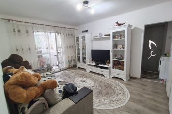 Apartament 2 camere de vanzare IASI - Iasi anunturi imobiliare Iasi