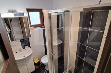 Vilă - 5 camere de inchiriat DUMBRAVITA - Timis anunturi imobiliare Timis