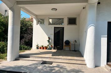 SUPER CASA INDIVIDUALA BRANESTI INTRE LAC SI PADURE! anunturi imobiliare Bucuresti