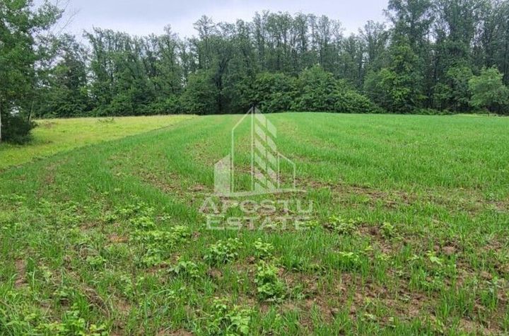 Teren mixt de 8.600 mp, ideal pentru investitie, Cuied anunturi imobiliare Arad