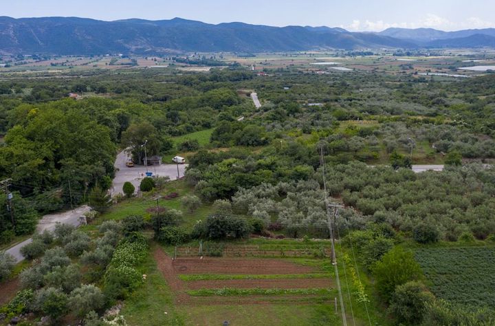 Teren construibil 750 mp în Mesoropi, Kavala anunturi imobiliare Grecia
