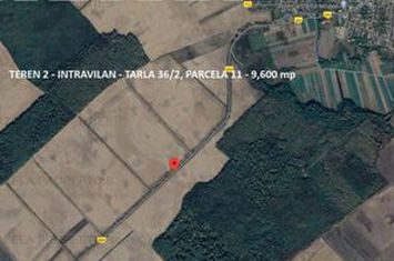 De vanzare 5 loturi langa padure 33.000 mp - Racari - Licitatie anunturi imobiliare Dambovita