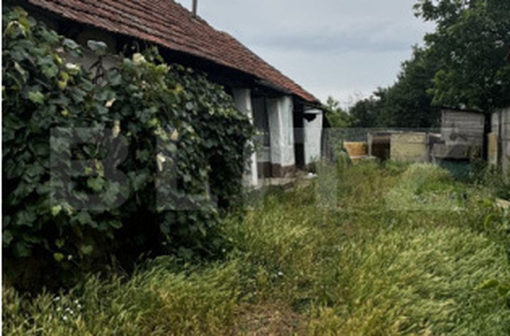 Teren de vanzare SATU MARE - Satu Mare anunturi imobiliare Satu Mare