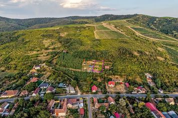 Teren pe deal, 1.150 mp, în Miniș, front 26 m, Drumul Vinului anunturi imobiliare Arad