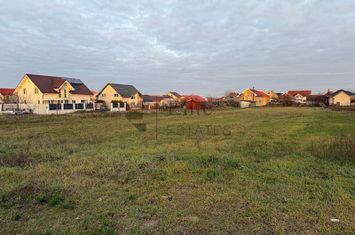 Teren intravilan 1150 mp de vanzare in Cihei anunturi imobiliare Bihor