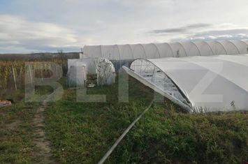 Teren de vanzare ALBA IULIA - Alba anunturi imobiliare Alba