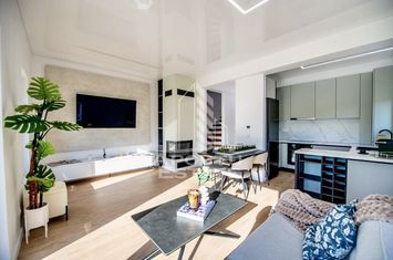 Locuinte de tip duplex moderne si smart anunturi imobiliare Timis