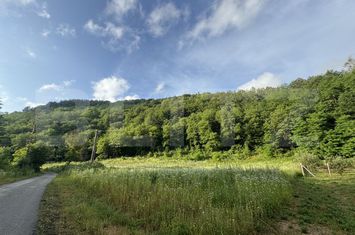 Teren de vanzare DEVA - Hunedoara anunturi imobiliare Hunedoara