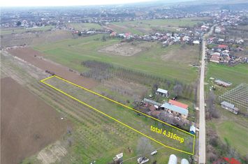 Teren Intravilan de vanzare URECHESTI - Vrancea anunturi imobiliare Vrancea
