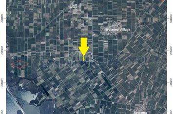 Teren agricol 12.821 mp în Erateino (Nestos) anunturi imobiliare Grecia