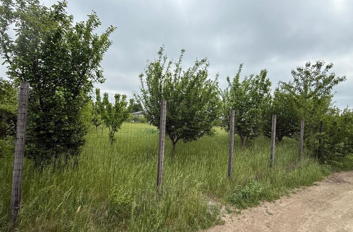VALEA URSULUI, TEREN INTRAVILAN DE VANZARE,  LA MARGINE DE PADURE anunturi imobiliare Iasi