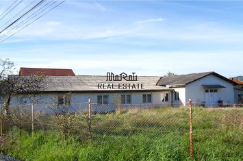 Spațiu industrial de vanzare BRAD - Hunedoara anunturi imobiliare Hunedoara