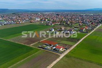 Teren intravilan Harman anunturi imobiliare Brasov