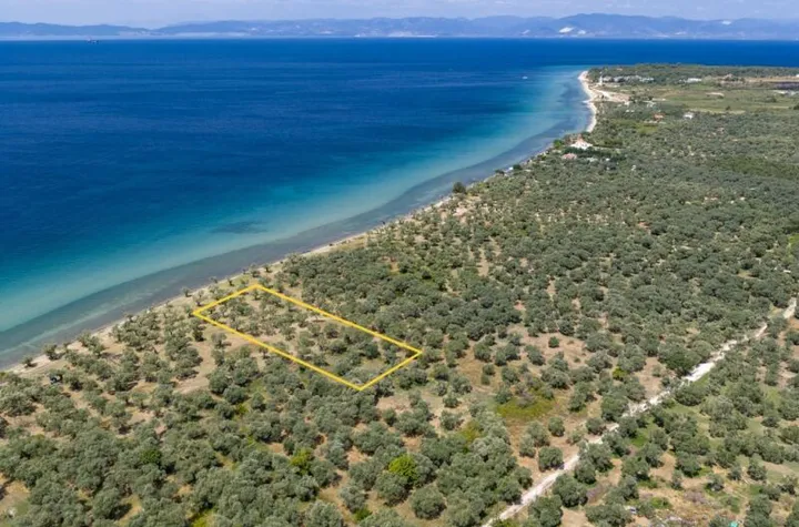 Teren 1.446 mp, 25 m de mare — Prinos, Thassos anunturi imobiliare Grecia
