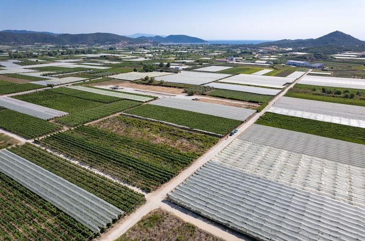 Teren 3.450 mp în Elaiochori, la marginea satului anunturi imobiliare Grecia