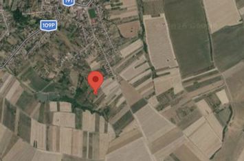 Teren de vanzare TASNAD - Satu Mare anunturi imobiliare Satu Mare