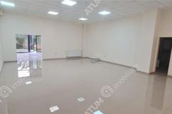 Spațiu comercial de inchiriat TURNISOR - Sibiu anunturi imobiliare Sibiu