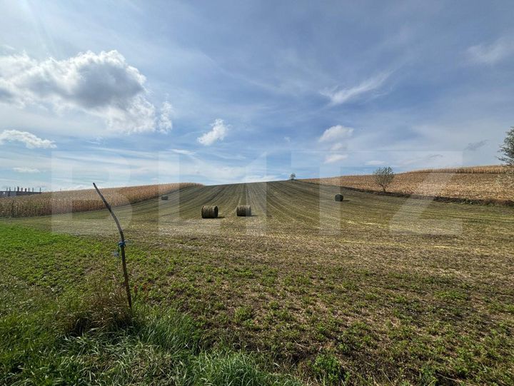 Teren de vanzare SUCEAVA - Suceava anunturi imobiliare Suceava
