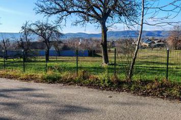 Teren de vanzare STALPENI - Arges anunturi imobiliare Arges