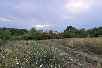 Teren Extravilan de vanzare GUSTERITA - Sibiu anunturi imobiliare Sibiu