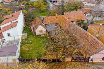 Casă cu teren generos de 1655 mp pe Gheorghe Doja anunturi imobiliare Arad
