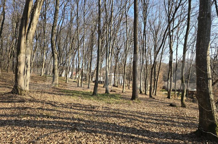 Teren de vanzare CLUJ-NAPOCA - Cluj anunturi imobiliare Cluj