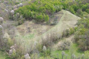 Teren de vanzare ALMASU MARE - Alba anunturi imobiliare Alba