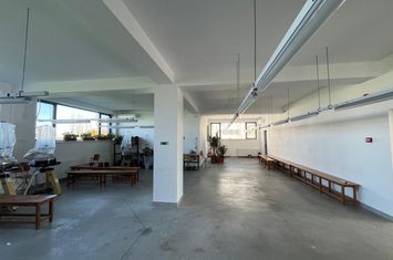 Spațiu comercial de vanzare CRAIOVA - Dolj anunturi imobiliare Dolj