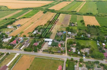 Teren generos de 5.292 m.p. in Silistea (Todiresti,Vaslui) anunturi imobiliare Vaslui