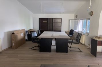 Vilă - 4 camere de inchiriat FLOREASCA - Bucuresti anunturi imobiliare Bucuresti