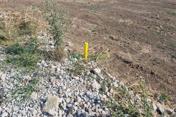 Vânzare loturi rezidențiale Popești-Leordeni/Frumușani anunturi imobiliare Bucuresti