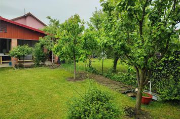 Casă - 5 camere de vanzare CENTRAL - Timis anunturi imobiliare Timis