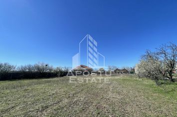 Teren intravilan 833 mp, front 29 ml, Giarmata anunturi imobiliare Timis