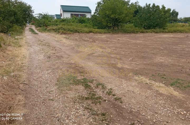 TEREN INTRAVILAN-2000 MP-STR SCOLII anunturi imobiliare Bucuresti