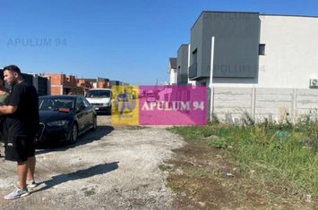 Teren Domnesti- Ciutaci- Foisorului. anunturi imobiliare Bucuresti