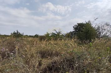 TEREN INTRAVILAN-13913 MP-PAVEL CEAMUR-FAGULUI anunturi imobiliare Bucuresti