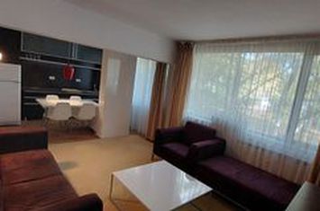Apartament 2 camere de inchiriat Arcul de Triumf - Herastrau anunturi imobiliare Bucuresti