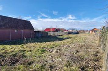 Teren Intravilan de vanzare BIHARIA  - Bihor anunturi imobiliare Bihor