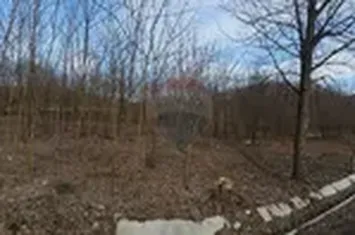 Teren 2,714mp de vanzare -  Strada Gura Vaii / Bujoreni anunturi imobiliare Valcea