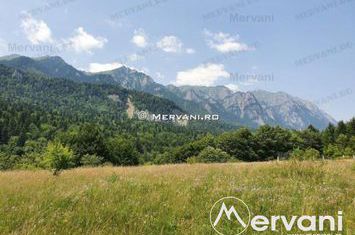 Teren Intravilan de vanzare SINAIA - Prahova anunturi imobiliare Prahova