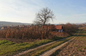 Teren de vanzare RUSI - Sibiu anunturi imobiliare Sibiu