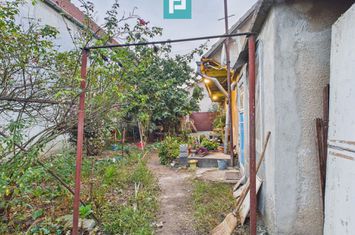 Casă modestă cu 3 camere în Aradul Nou anunturi imobiliare Arad