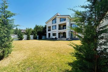 Villa 8 rooms, land 1000 sqm, Iancu Nicolae, ideal residence of the Ambassador anunturi imobiliare Bucuresti